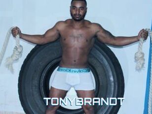 TONYBRANDT