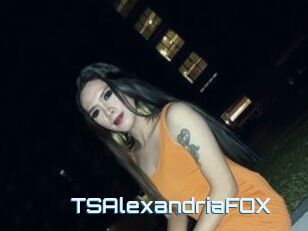 TSAlexandriaFOX
