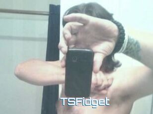 TSFidget