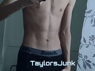 TaylorsJunk