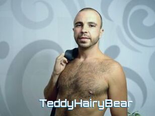 TeddyHairyBear