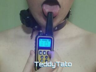 TeddyTato