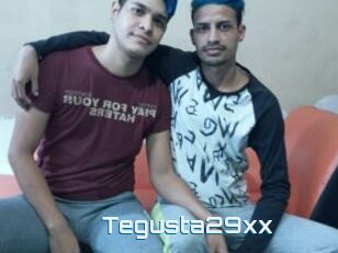 Tegusta29xx