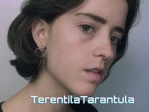 TerentilaTarantula