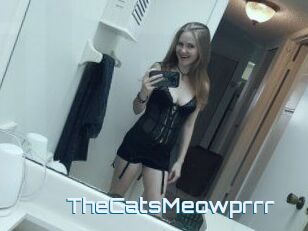 TheCatsMeowprrr