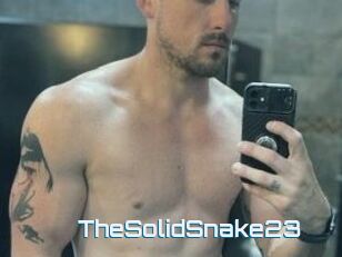 TheSolidSnake23