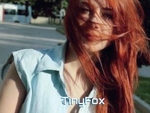 TinyFox