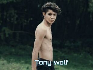Tony_wolf