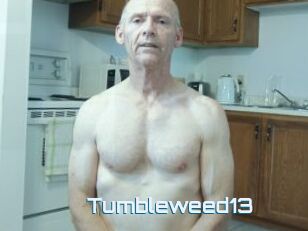 Tumbleweed13