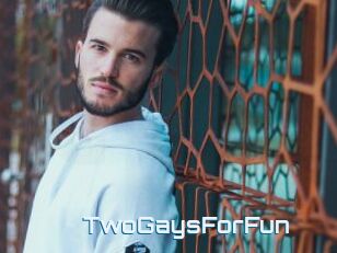 TwoGaysForFun
