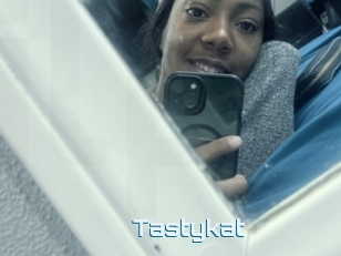 Tastykat