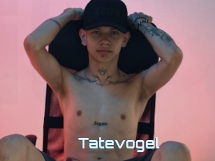 Tatevogel