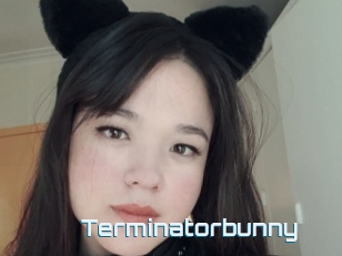 Terminatorbunny