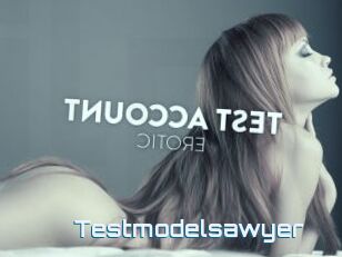 Testmodelsawyer