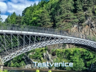 Testvenice
