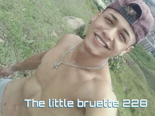 The_little_bruette_228