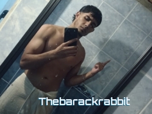 Thebarackrabbit