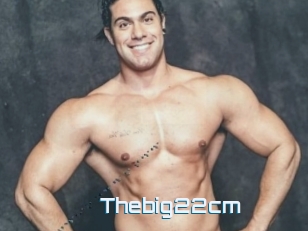 Thebig22cm