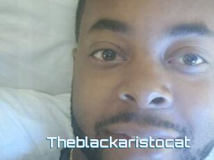 Theblackaristocat