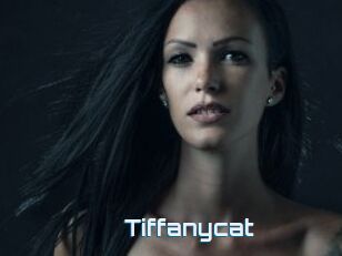 Tiffanycat