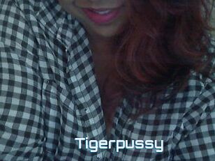 Tigerpussy