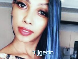 Tijgerin