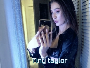 Tiny_taylor