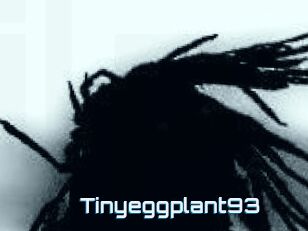Tinyeggplant93