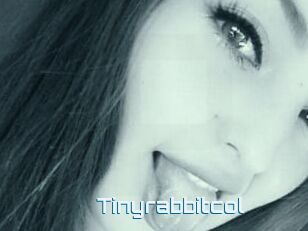 Tinyrabbitcol