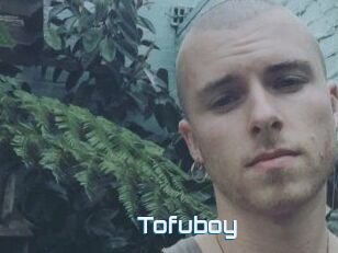 Tofu_boy
