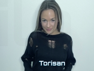 Torisan