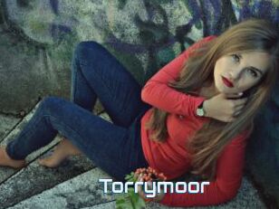 Torrymoor