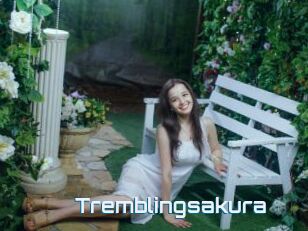Tremblingsakura