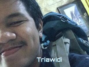 Triawidi