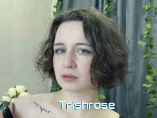 Trishrose