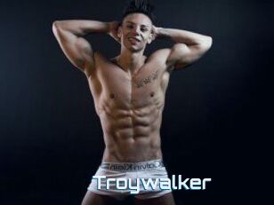Troywalker