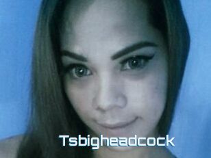 Tsbigheadcock