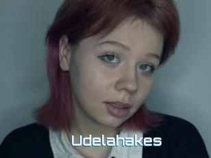 Udelahakes