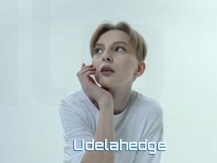 Udelahedge