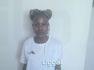 Uggal