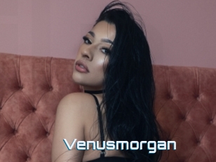 Venusmorgan