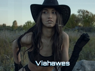 Viahawes
