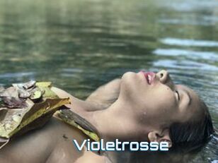 Violetrosse