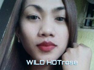 WILD_HOTrose