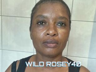 WILD_ROSEY40