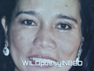 WILDpussyINBED