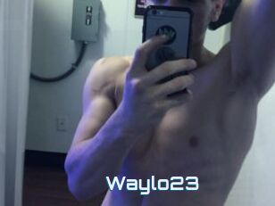 Waylo23