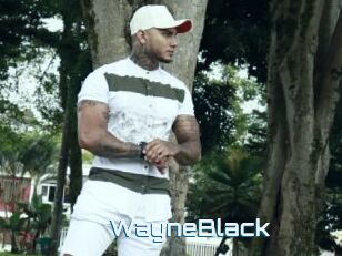 WayneBlack
