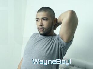 WayneBoyI