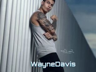 WayneDavis